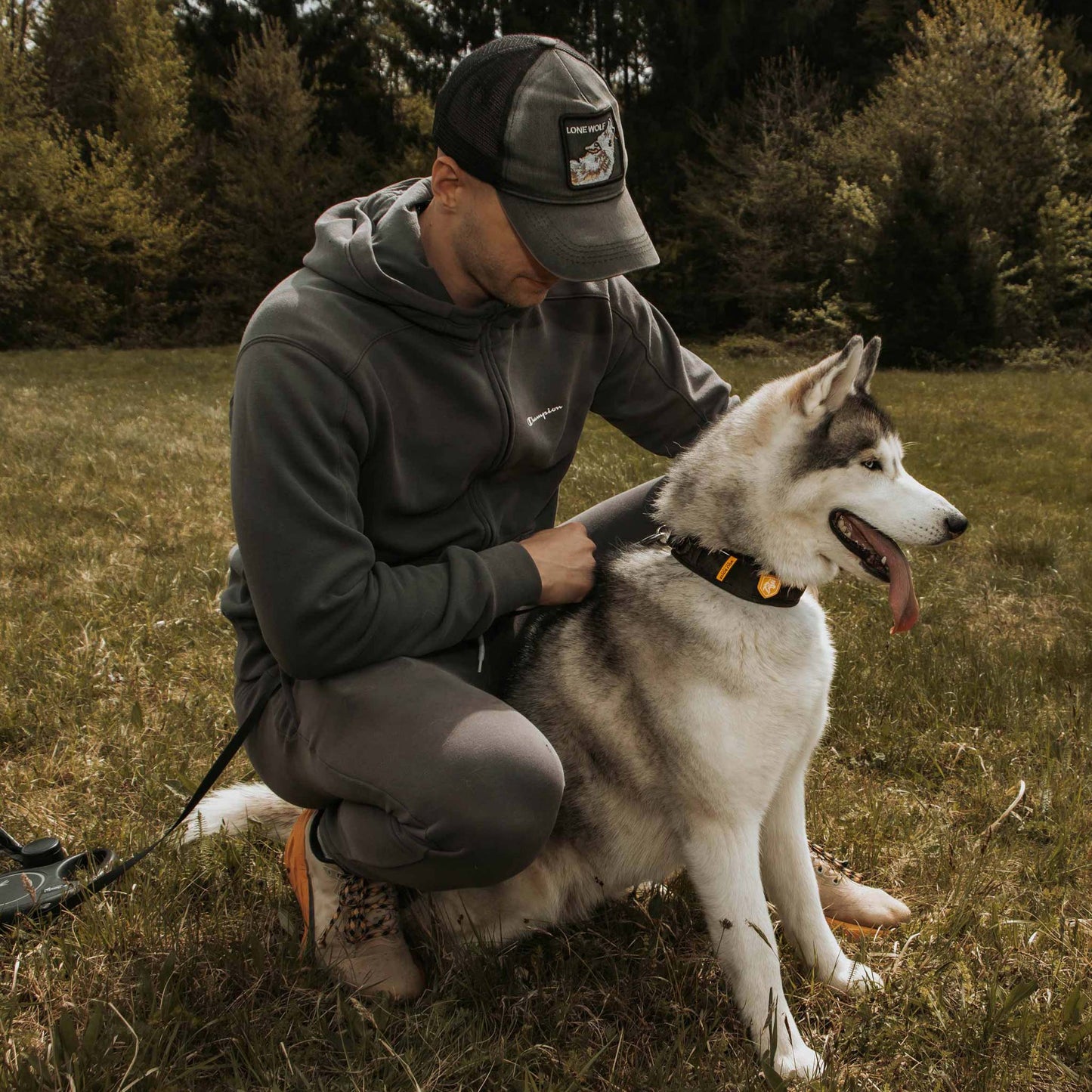 Wolf Rover │ StridePro Collar