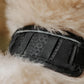 Wolf Rover │ StridePro Collar